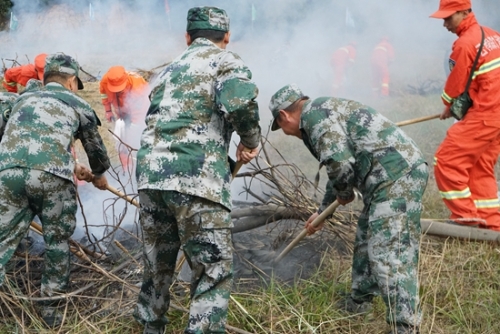 森林火灾应急演练 森林火灾应急演练