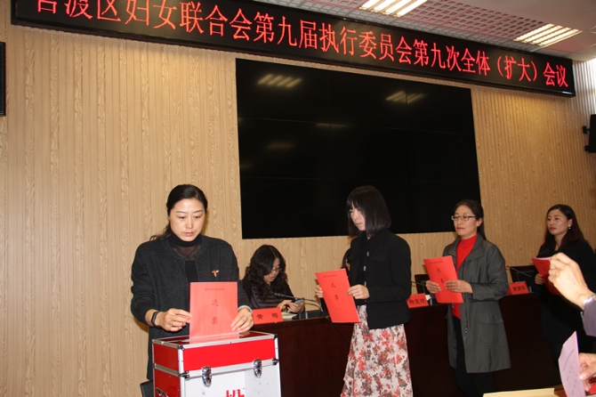 投票选举妇联常务委员、副主席_副本 投票选举妇联常务委员、副主席_副本