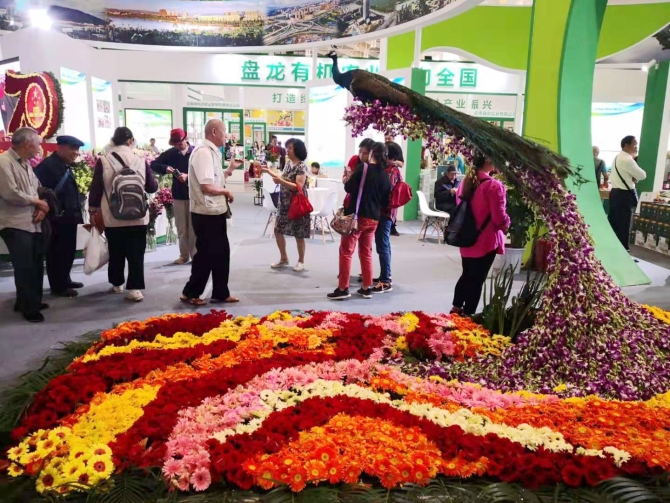 微信图片_20190907133117 微信图片_20190907133117