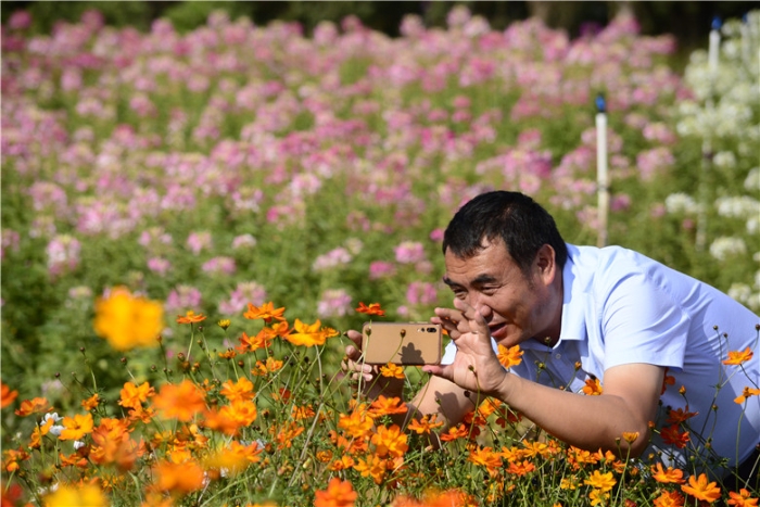 mmexport1570898673682