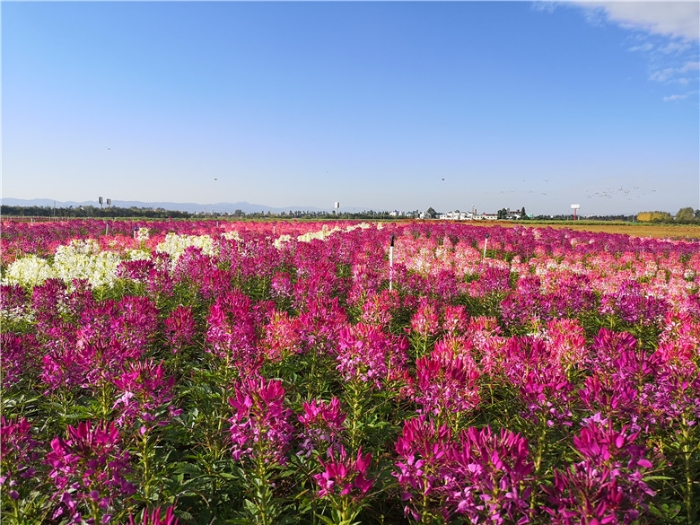 mmexport1570900625283