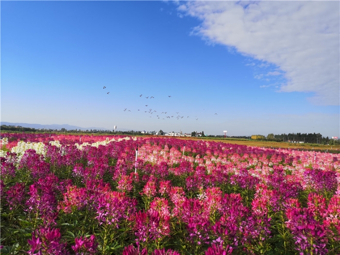 mmexport1570900636632