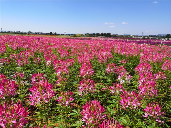 mmexport1570900770268