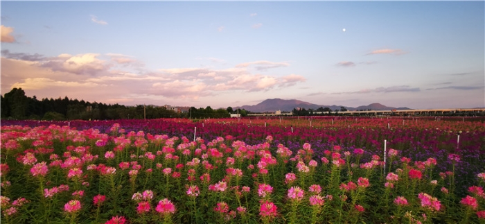 mmexport1571111675851