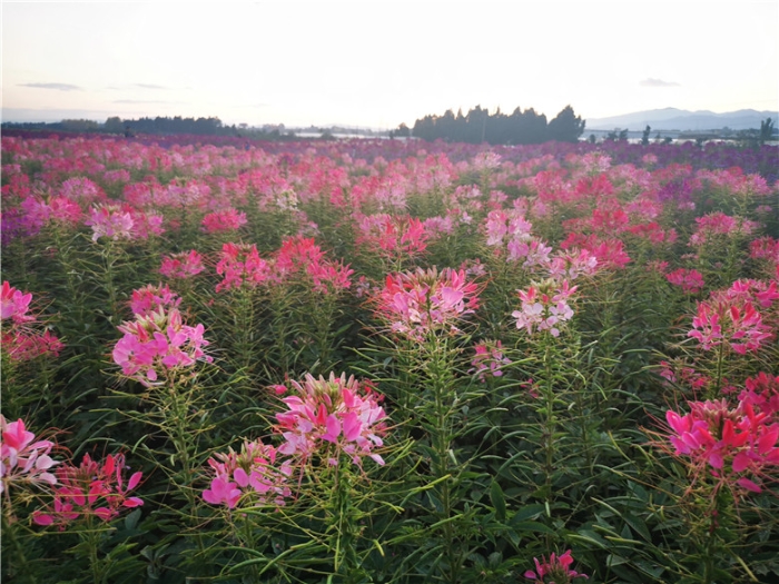 mmexport1571111685547