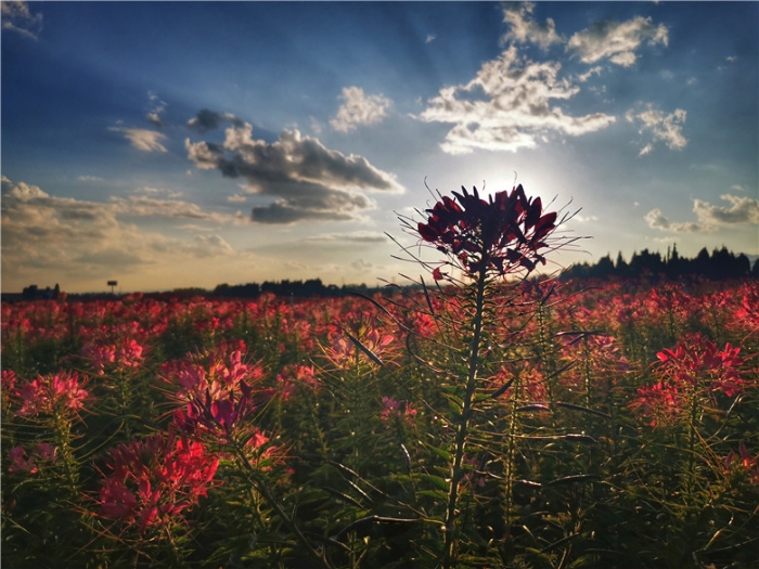 mmexport1571111700821