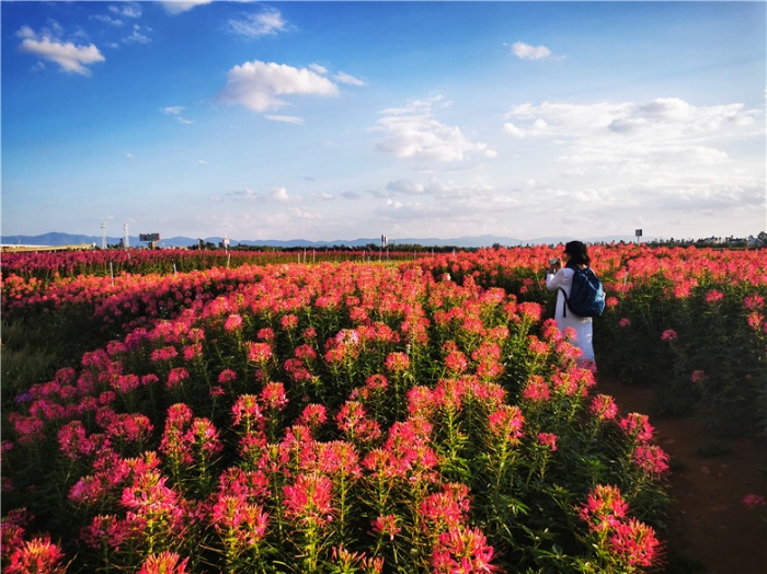 mmexport1571111722510