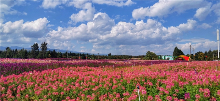 mmexport1571111731493