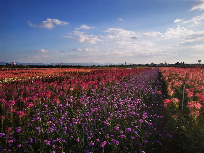 mmexport1571111759354