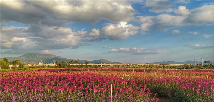 mmexport1571112225127