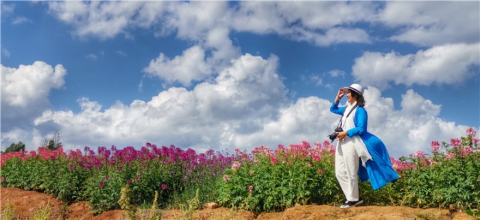 mmexport1571112254539