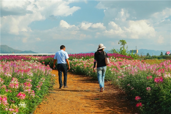 mmexport1571112281612