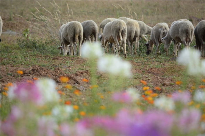 mmexport1571112333446