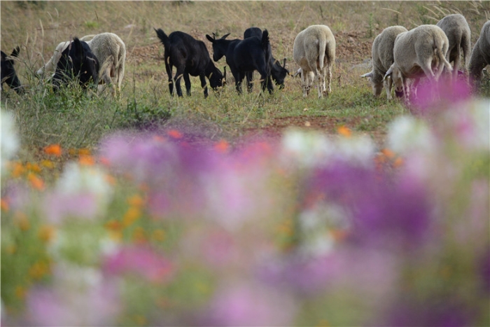 mmexport1571112363556