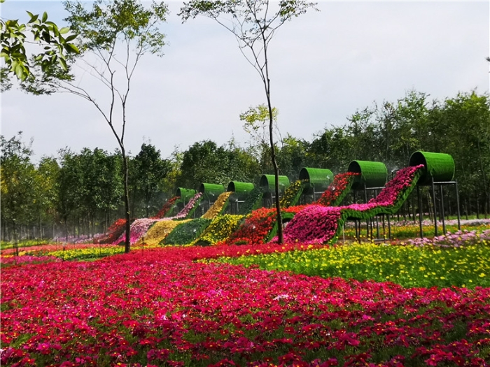 mmexport1570900675392