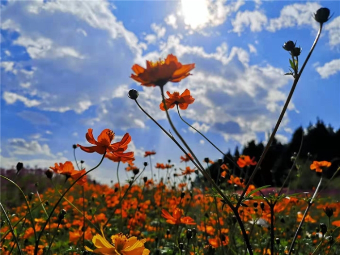 mmexport1570900778666