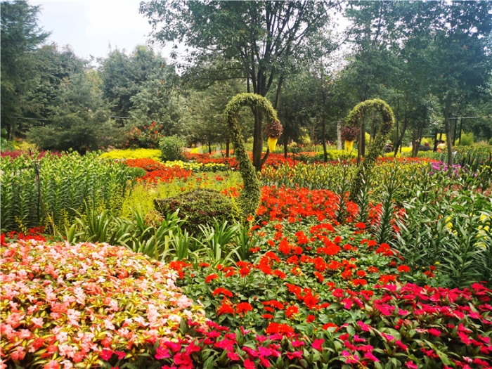 mmexport1571111459636