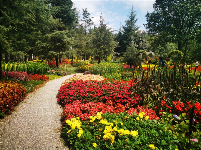 mmexport1571111475935