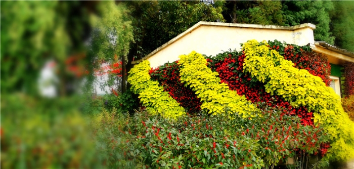 mmexport1571111788347