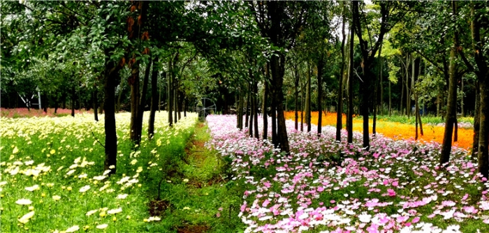 mmexport1571111809740