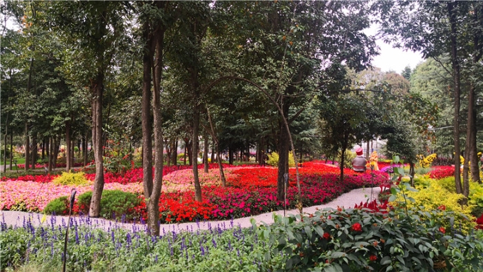 mmexport1571112045539