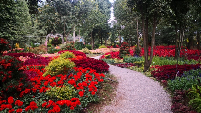 mmexport1571112086020