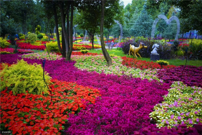 mmexport1571316626770