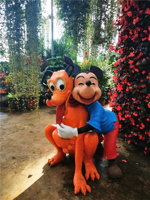 mmexport1571111175463