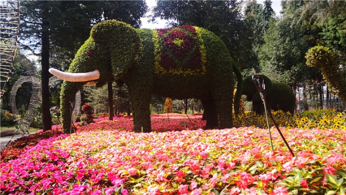 mmexport1571112100372