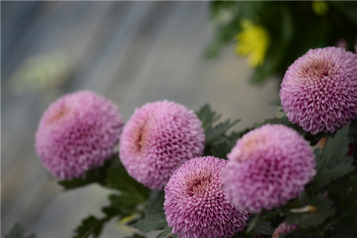 mmexport1570899101901