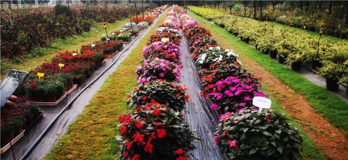 mmexport1571111157911