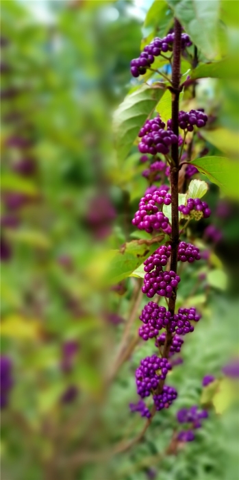 mmexport1571111847872