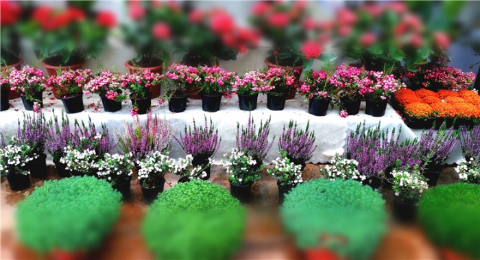 mmexport1571111877121