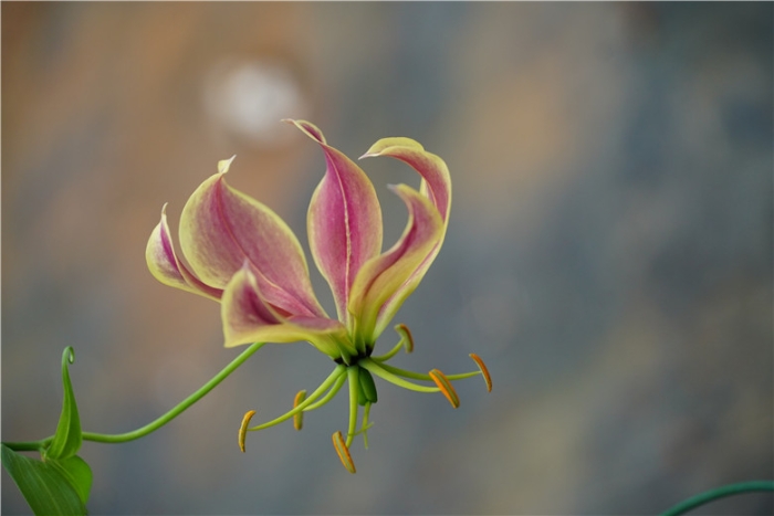 mmexport1571111896943