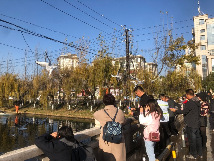 2N{[Y(FNSGRX8[$~8V[(XNF