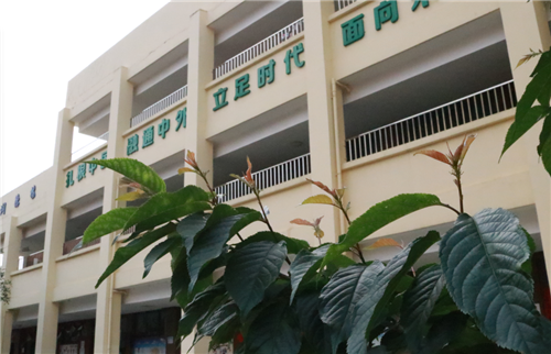 微信图片_20200326092842