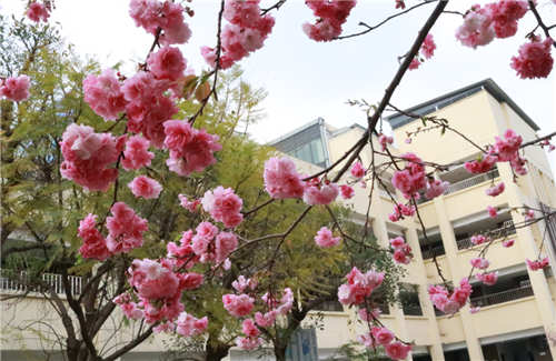 微信图片_20200326092817