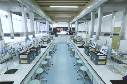 4数字化探究实验室