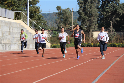 运动会比赛3_副本 运动会比赛3_副本