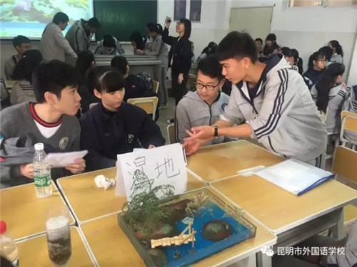 研究性学习 研究性学习