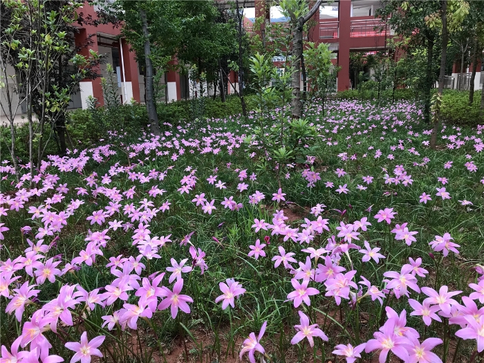 397e625b572b890b7bdfcb9e87e15a8