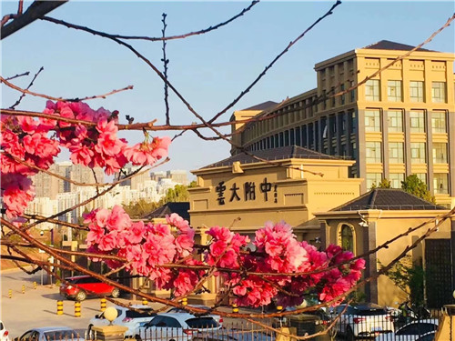 mmexport1585194133847 mmexport1585194133847