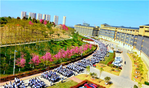 高30cmxx长45cm (3) 高30cmxx长45cm (3)