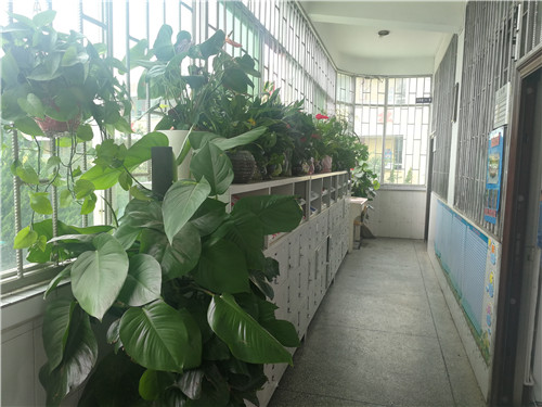 学生美化教室走廊