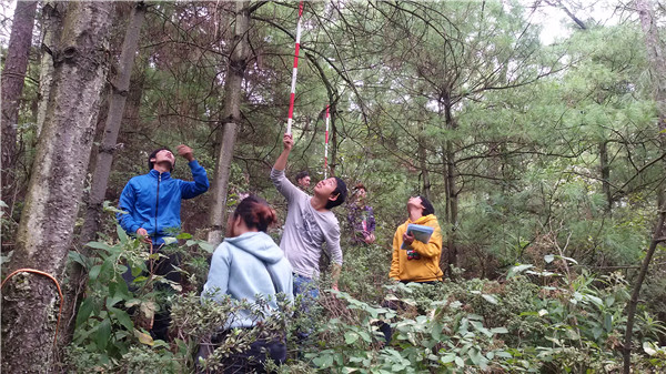 森林资源二类调查_副本