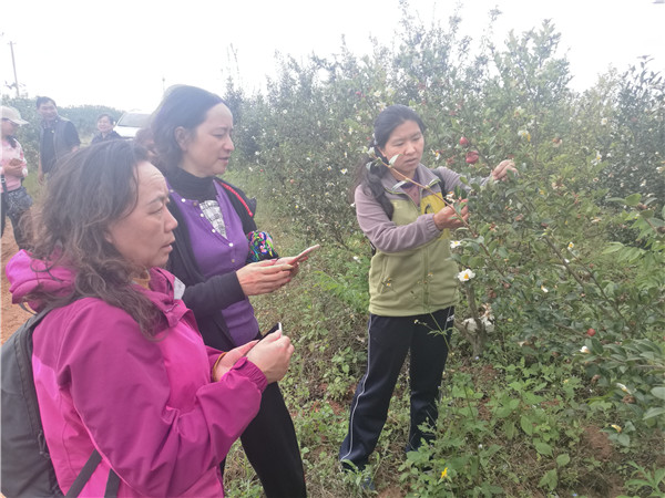 油茶提质增效示范林建设野外调查_副本