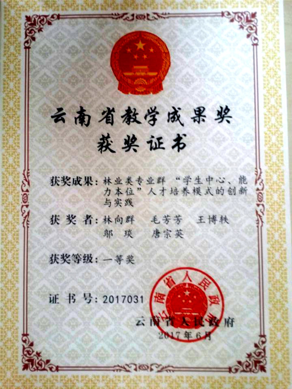 省级教学成果一等奖证书_副本