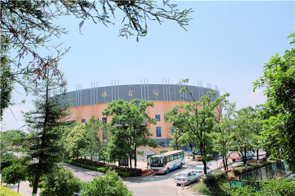 学校体育馆_副本 学校体育馆_副本