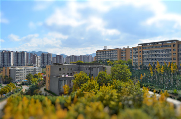 秋天的校园_副本 秋天的校园_副本