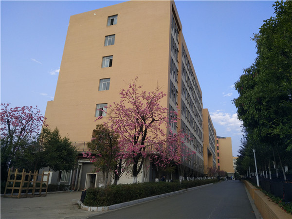 男生宿舍春华苑 男生宿舍春华苑